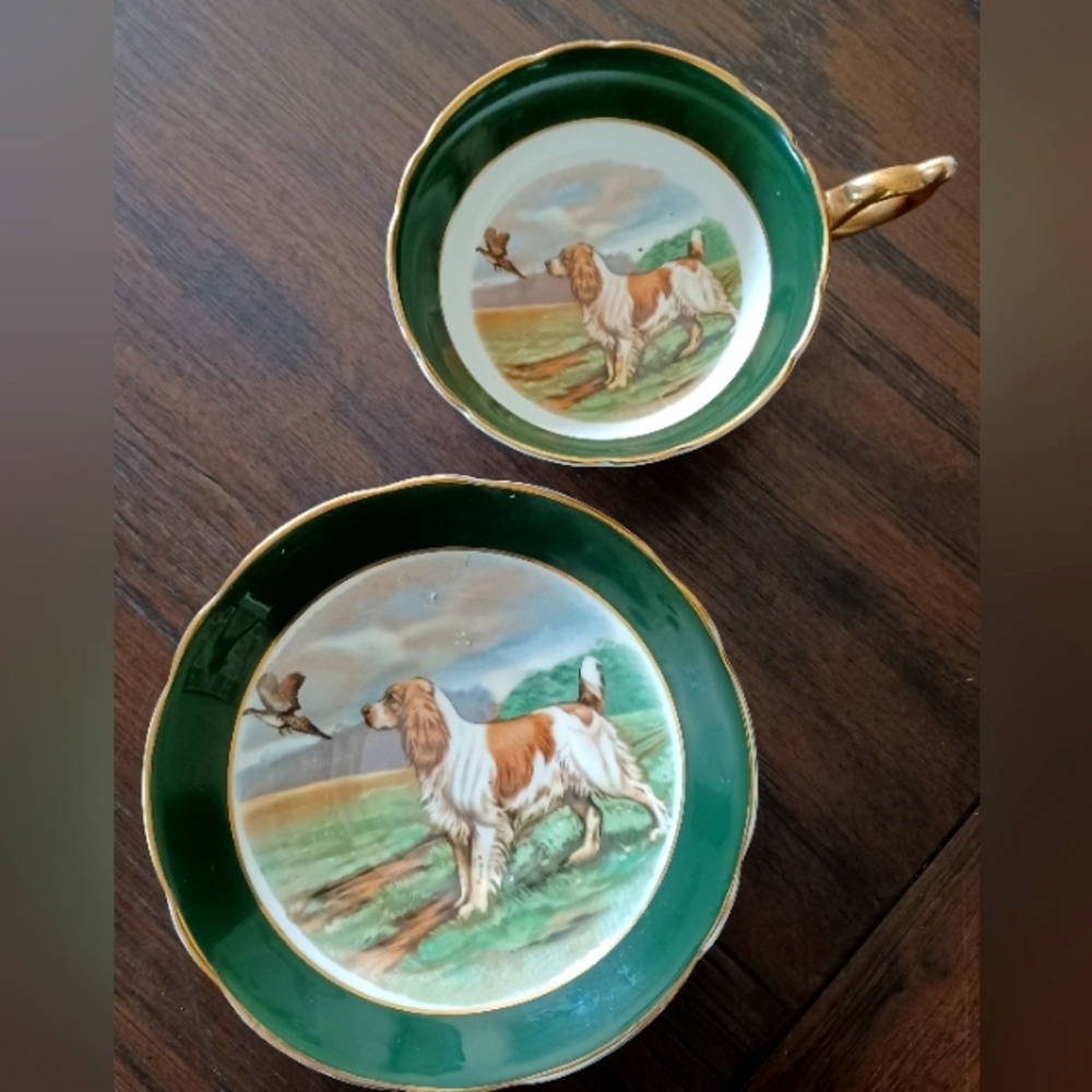 Beautiful hunting English Setter collectable tea cup n saucer